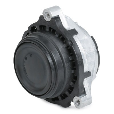 Engine Mounting RIDEX 247E0542 247E0542 - photo 4