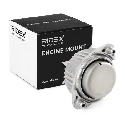 Engine Mounting RIDEX 247E0108 247E0108 - photo 2