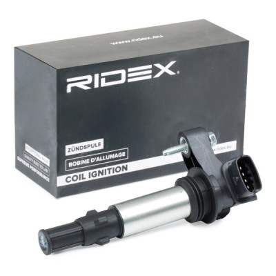 Ignition Coil RIDEX 689C0018 689C0018 - photo 2