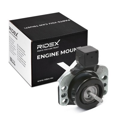 Engine Mounting RIDEX 247E0415 247E0415 - photo 2
