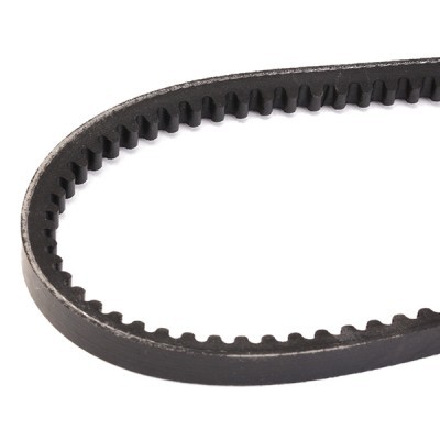 V-Belt RIDEX 10C0005 10C0005 - photo 3