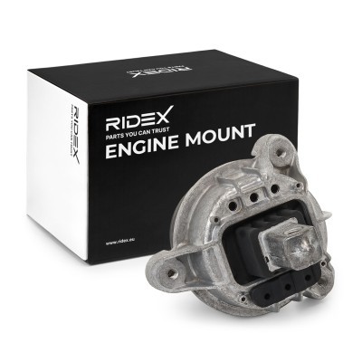Engine Mounting RIDEX 247E1051 247E1051 - photo 2