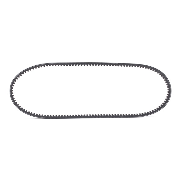 V-Belt RIDEX 10C0019 10C0019 - photo 1