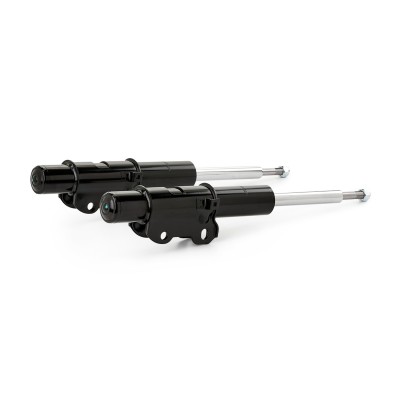 Shock Absorber RIDEX 854S1994 854S1994 - photo 5
