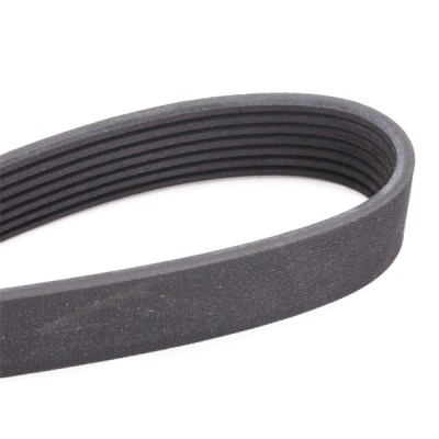 V-Ribbed Belt RIDEX 305P0186 305P0186 - photo 5