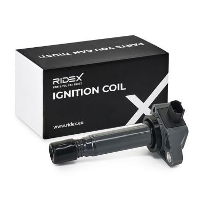 Ignition Coil RIDEX 689C0189 689C0189 - photo 2