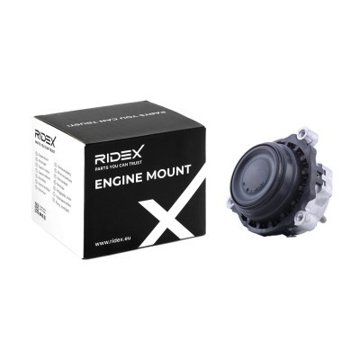 Engine Mounting RIDEX 247E0542 247E0542 - photo 2