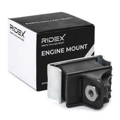 Engine Mounting RIDEX 247E0673 247E0673 - photo 2