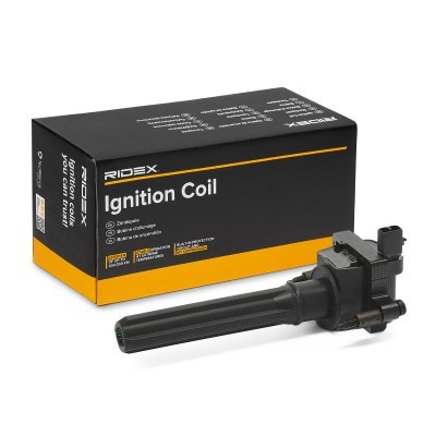 Ignition Coil RIDEX 689C0458 689C0458 - photo 2