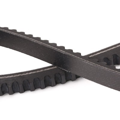 V-Belt RIDEX 10C0024P 10C0024P - photo 5