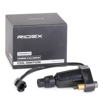 Ignition Coil RIDEX 689C0325 689C0325 - photo 3