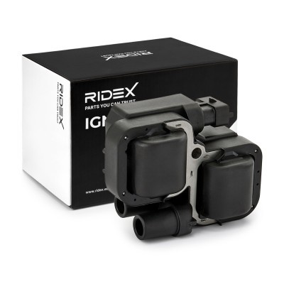 Ignition Coil RIDEX 689C0017 689C0017 - photo 2