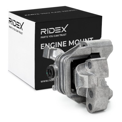 Engine Mounting RIDEX 247E0719 247E0719 - photo 3