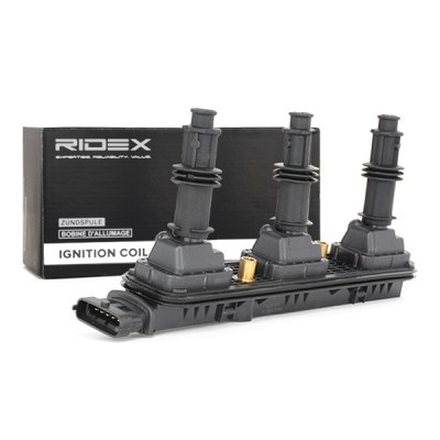 Ignition Coil RIDEX 689C0274 689C0274 - photo 4