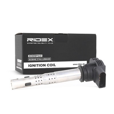 Ignition Coil RIDEX 689C0019 689C0019 - photo 3