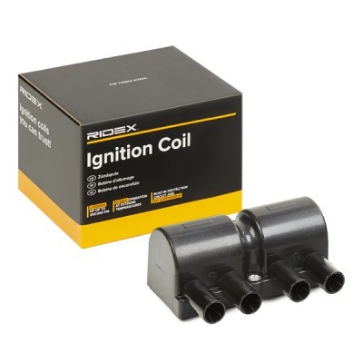 Ignition Coil RIDEX 689C0046 689C0046 - photo 2