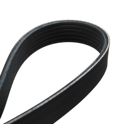 V-Ribbed Belt RIDEX 305P0250 305P0250 - photo 5