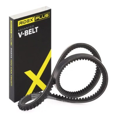 V-Belt RIDEX 10C0024P 10C0024P - photo 2