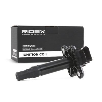 Ignition Coil RIDEX 689C0021 689C0021 - photo 3