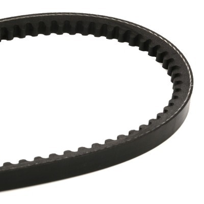V-Belt RIDEX 10C0031 10C0031 - photo 6