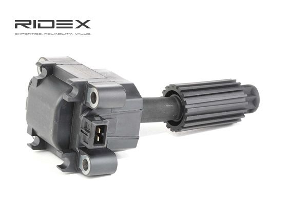 Ignition Coil RIDEX 689C0223 689C0223 - photo 1