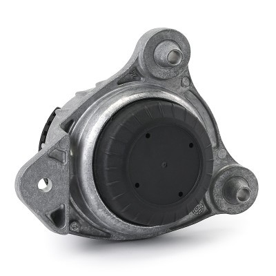 Engine Mounting RIDEX 247E1019 247E1019 - photo 4