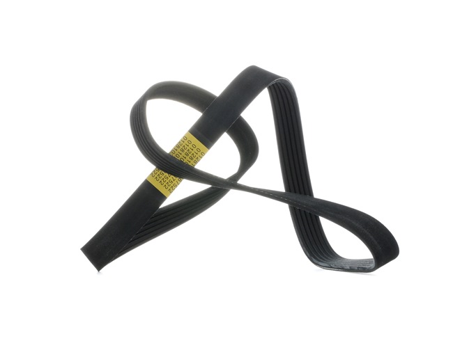 V-Ribbed Belt Stark SK-6PK1148 SK-6PK1148 - photo 1