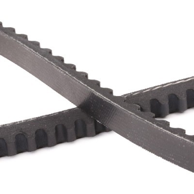 V-Belt RIDEX 10C0008P 10C0008P - photo 5