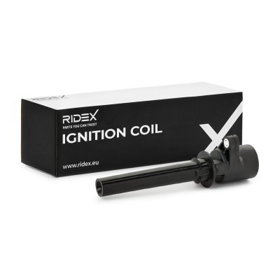 Ignition Coil RIDEX 689C0072 689C0072 - photo 2