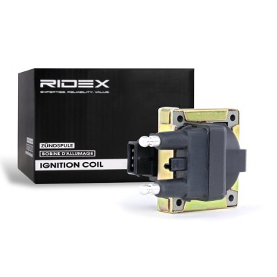 Ignition Coil RIDEX 689C0120 689C0120 - photo 4