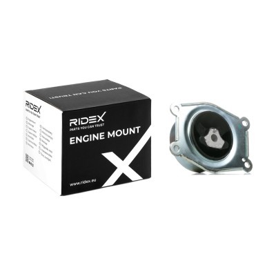Engine Mounting RIDEX 247E0272 247E0272 - photo 2
