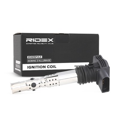 Ignition Coil RIDEX 689C0006 689C0006 - photo 3
