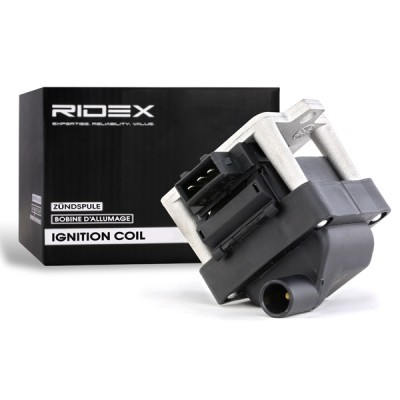 Ignition Coil RIDEX 689C0013 689C0013 - photo 2