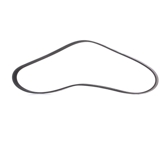 V-Ribbed Belt RIDEX 305P0419P 305P0419P - photo 1