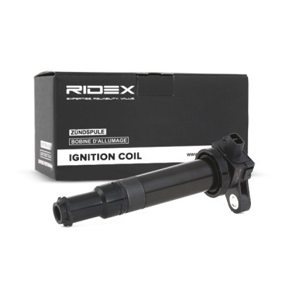 Ignition Coil RIDEX 689C0134 689C0134 - photo 3