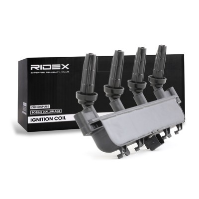 Ignition Coil RIDEX 689C0091 689C0091 - photo 3