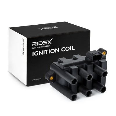 Ignition Coil RIDEX 689C0079 689C0079 - photo 2