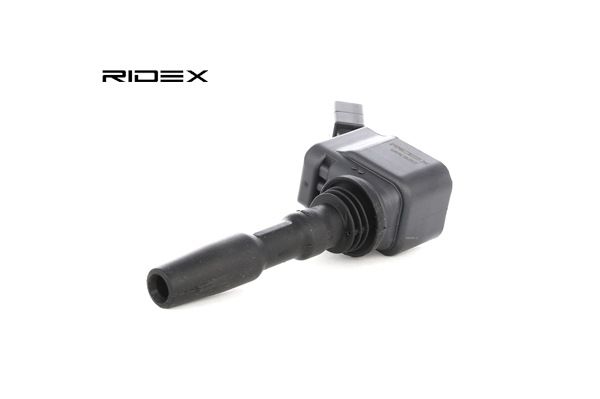 Ignition Coil RIDEX 689C0262 689C0262 - photo 1