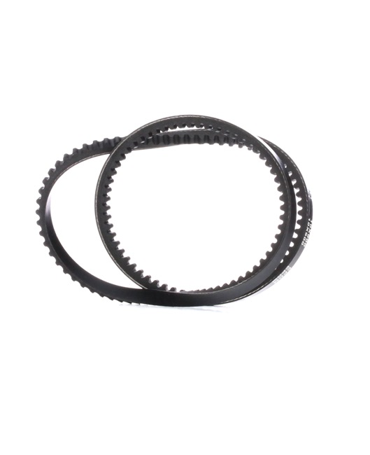 V-Belt RIDEX 10C0021 10C0021 - photo 1
