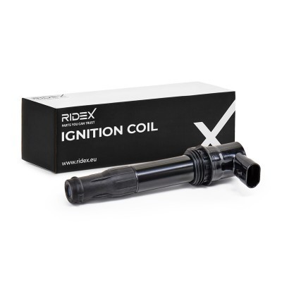 Ignition Coil RIDEX 689C0260 689C0260 - photo 2
