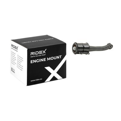 Engine Mounting RIDEX 247E0255 247E0255 - photo 2