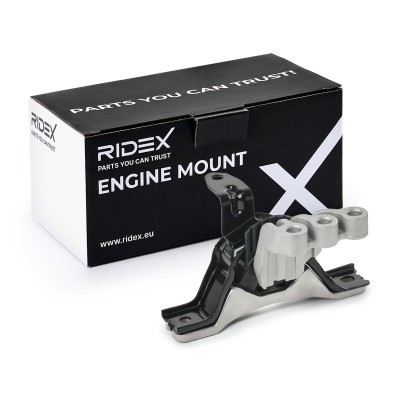 Engine Mounting RIDEX 247E1028 247E1028 - photo 2