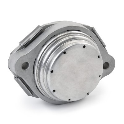Engine Mounting RIDEX 247E0437 247E0437 - photo 4