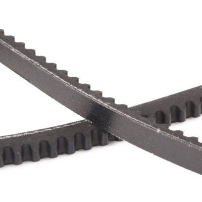 V-Belt RIDEX 10C0010P 10C0010P - photo 5