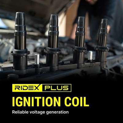 Ignition Coil RIDEX 689C0348P 689C0348P - photo 9