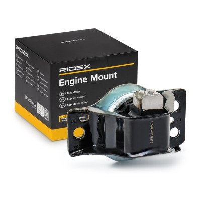 Engine Mounting RIDEX 247E0087 247E0087 - photo 2