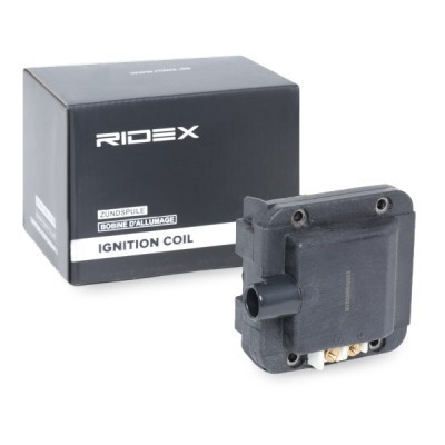 Ignition Coil RIDEX 689C0254 689C0254 - photo 2