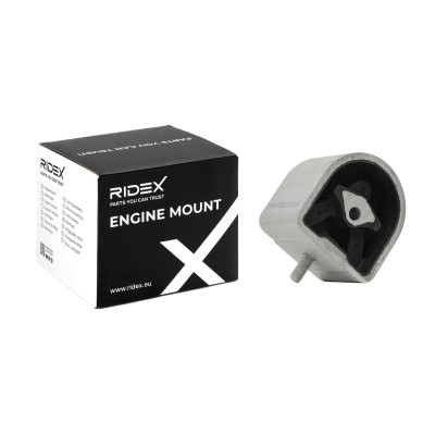 Engine Mounting RIDEX 247E0055 247E0055 - photo 2