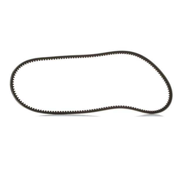 V-Belt RIDEX 10C0010P 10C0010P - photo 1