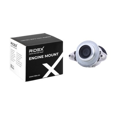 Engine Mounting RIDEX 247E0765 247E0765 - photo 2
